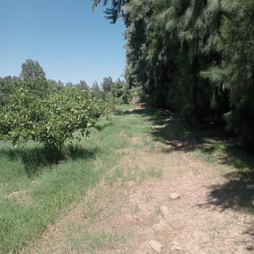 Terres agricoles 120000m² À vendre-6