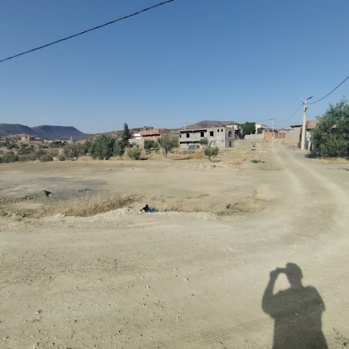 Land 8000m² For Sale-7