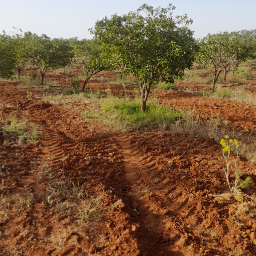 Terres agricoles 160000m² À vendre-8