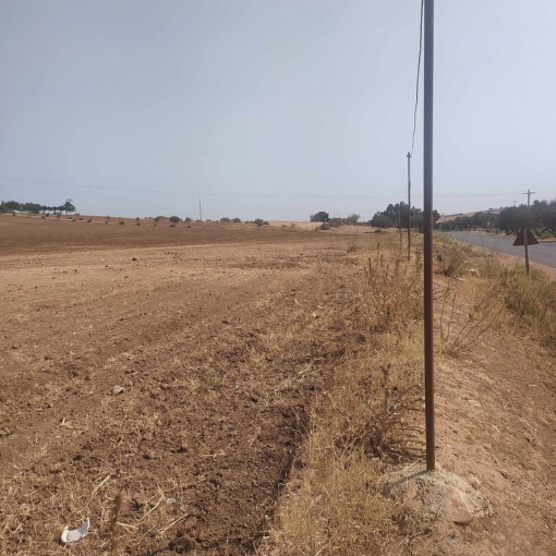 Land 50000m² For Sale-8