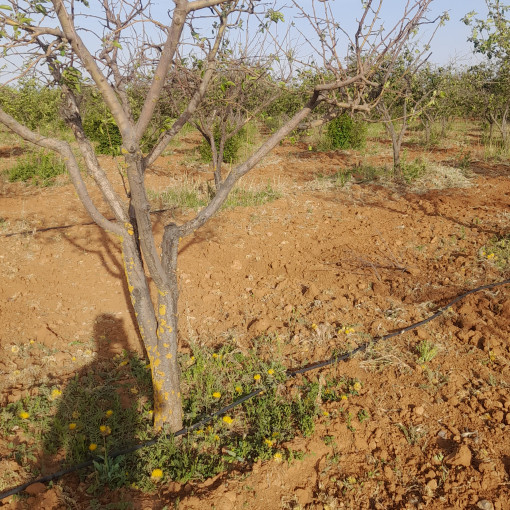 Terres agricoles 160000m² À vendre-9