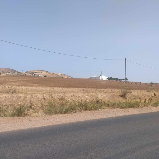 Land 50000m² For Sale-9