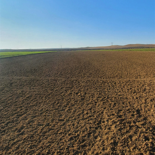 Terres agricoles 10000m² À vendre-2